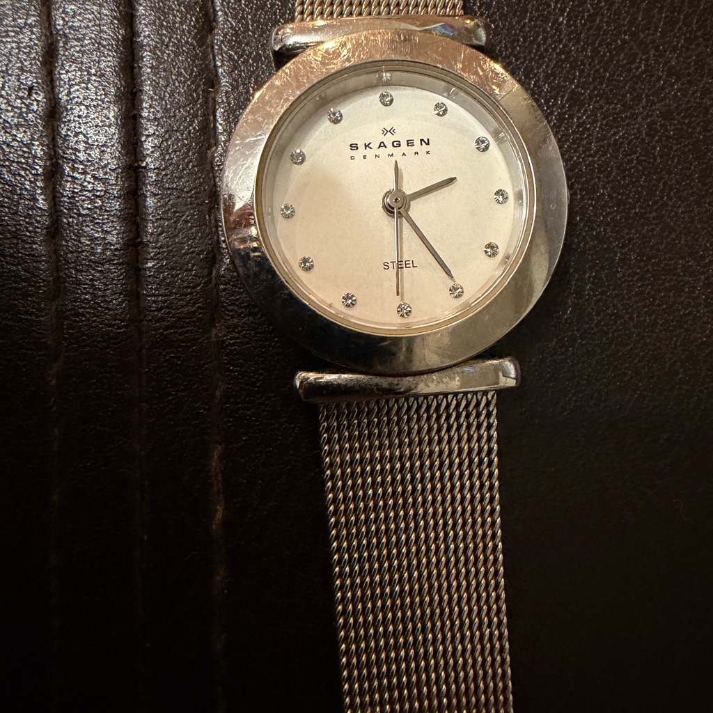 Skagen Denmark Silver Mesh Stainless Steel Watch Swarovski Diamond Markers